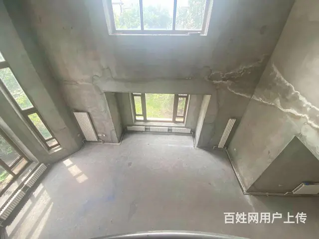 群力盛和天下挑空别墅998万带车库边户大花园满2年随时看房 - 图片 7