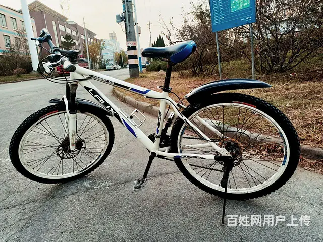 雷克斯自行车 - 图片 1