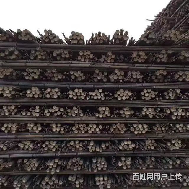 威海园林绿化杉木杆，竹杆批发现货供应_12小时送达 - 图片 8