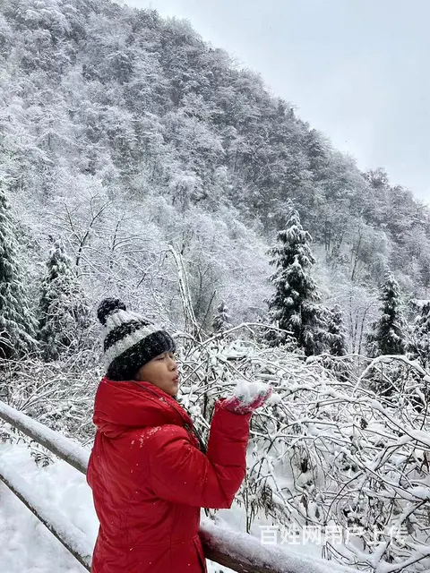 找老伴  非诚勿扰 - 图片 1