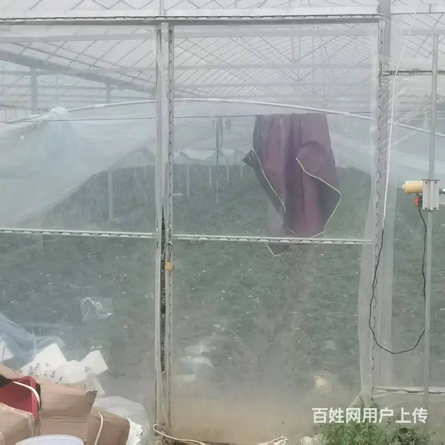 联动大棚出租 - 图片 3