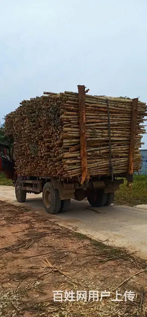 重汽豪曼 自卸车 - 图片 7