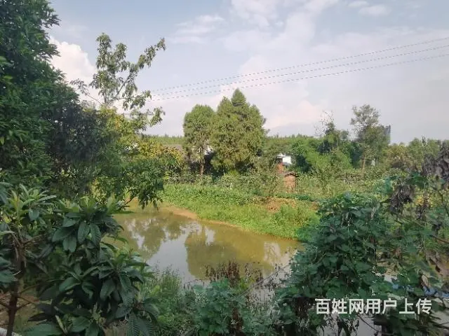 旺铺居）房东直租农家小院环境优美位置优越交通方便 - 图片 3