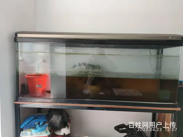 出售大鱼缸 - 图片 1