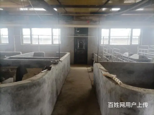 鹤北中央直属局北侧住房猪舍出卖 - 图片 4