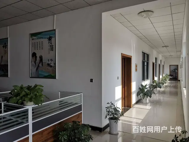 急需销售，包吃住，底薪3000元加提成 - 图片 2