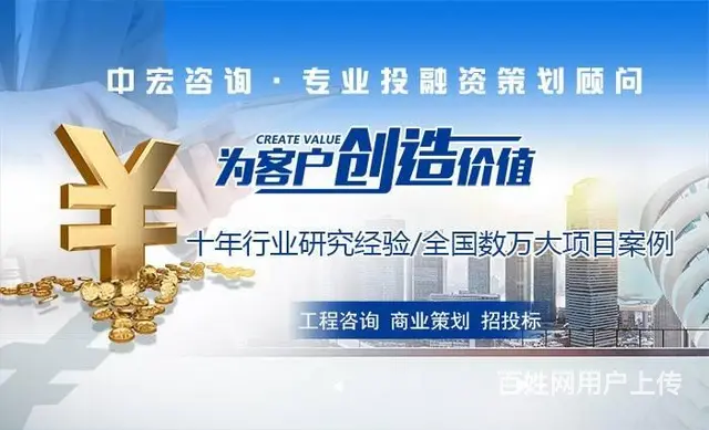 遂宁写文案代写可行性研究报告全面依据 - 图片 2