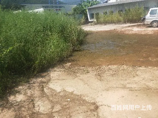 出租普宁中药市场周边空地约10亩 - 图片 3