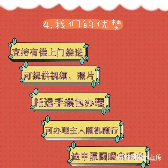 推荐） 盐城大丰宠物托运到全国）（猫狗）邮寄快递（宠物活体运 - 图片 1