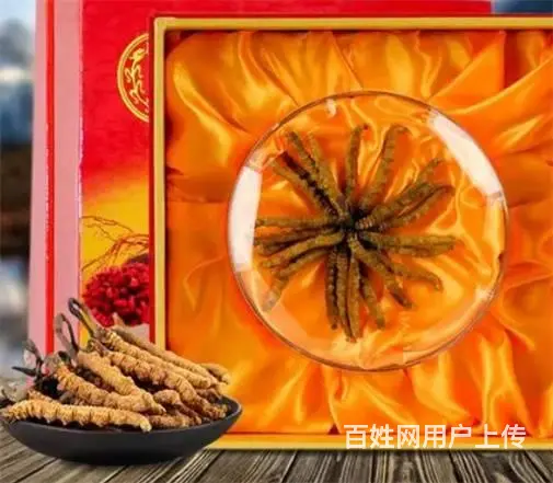 荔湾虫草回收价格前景-荔湾虫草回收行情了解 - 图片 6