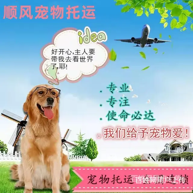 日喀则宠物托运（猫狗）邮寄快递速运服务 - 图片 8