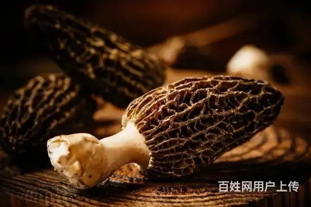 长沙到攸县拼车电话号码 - 图片