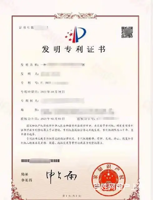 发明专利预审费用发明专利包预审 - 图片 2