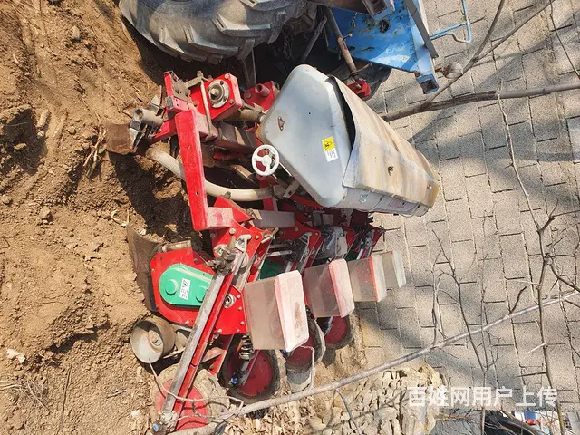 上海50 - 图片 7