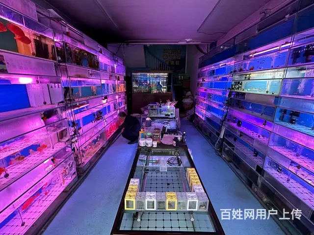 （微易转）明清街绿杉园北门商铺转让 - 图片 2