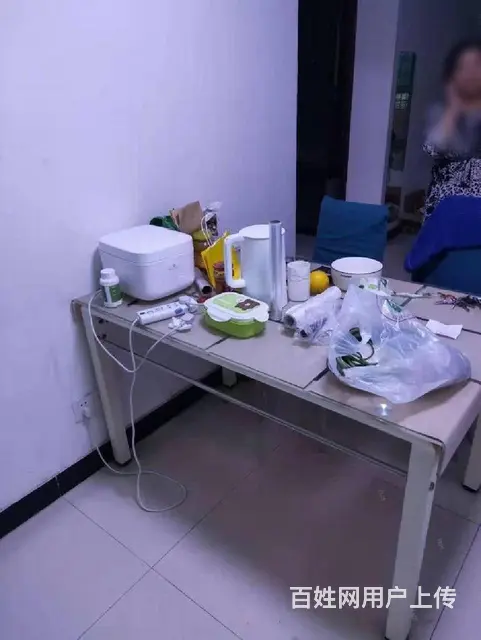 东方宜家花园精装修，干净卫生，配套齐全，拎包即住 - 图片 4
