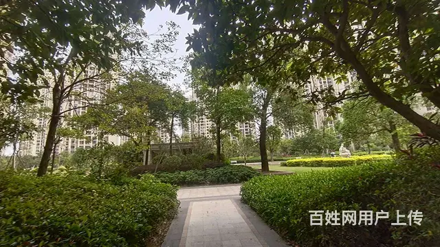 航空新城 保利香槟国际花园 精装3房 家电齐全 拎包入住 - 图片 11
