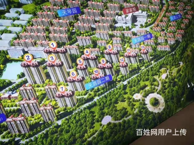 威海五洲太阳城  天鸽园 坐落在公园里的家 - 图片 3