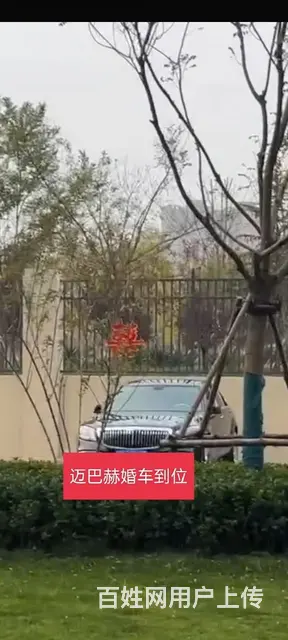 专业婚车租赁 - 图片 11