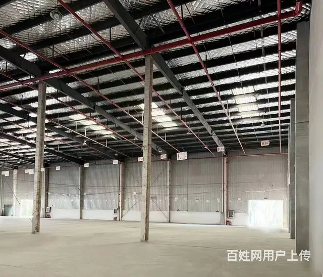 陶庄镇44000平米丙二类适合物流电商仓库出租可分租 - 图片 5
