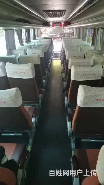 厂区通勤准时达研学旅游包车自驾租车 - 图片 1