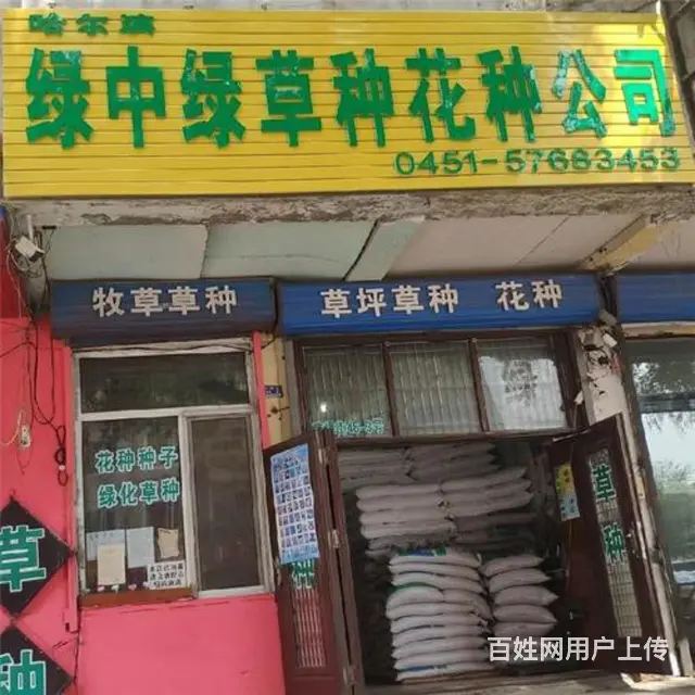 _哈尔滨绿中绿草种公司 - 图片 1