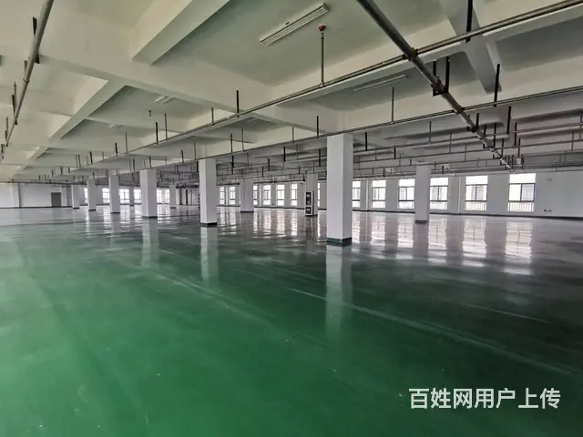 【出租】2500平 厂房 仓库  可分割 可环评 - 图片 2