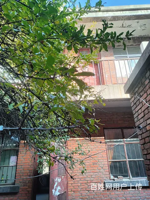大院房小庄市场南门两层楼110平米 - 图片 3