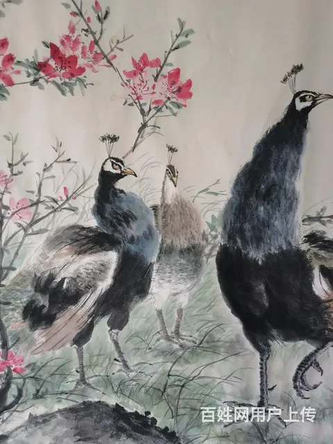 六尺纸花鸟画手绘，孔雀 - 图片 5