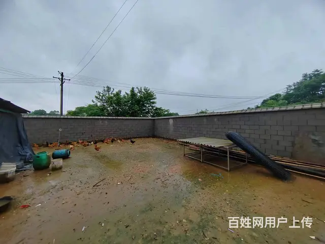 （老板本人）开福区捞刀河中青路附近独门独院场地出租 6594 - 图片 1