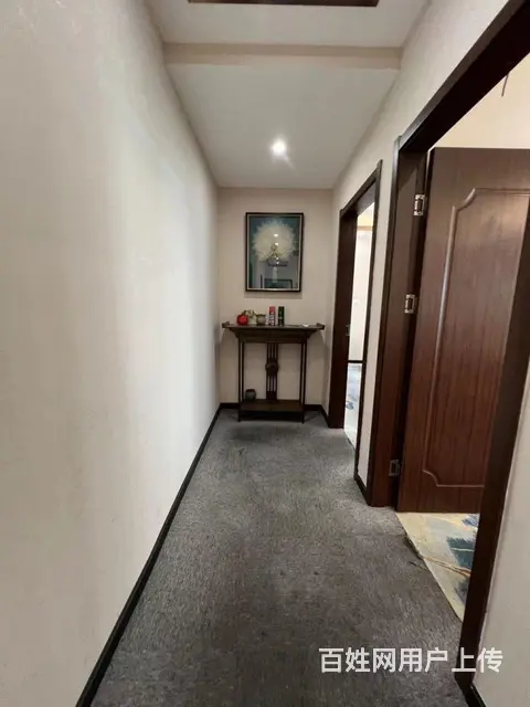 东湖春树里 岳家嘴地铁 接待猛火灶 中北路 德成国 - 图片 8