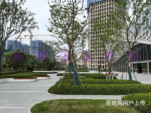 滨江区光云大厦办公室出租，三面江景，2024年新写字楼 - 图片 1