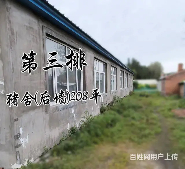出售东山区新水源林场小屯一处平房养猪房，原来是三户人家，合并 - 图片 2