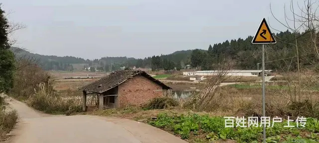 四川省资阳市雁江区120亩林地转让 - 图片 6