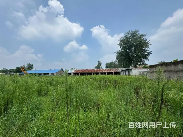 （徐州找店网）新沂北沟两块3亩独院出租 - 图片 2