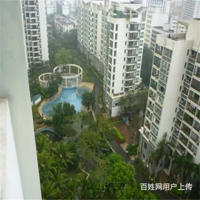 南沙路商圈    都市森林4房285,电梯4房 - 图片 10