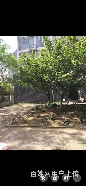 【搞定了！】—楼库改房整套出租 - 图片 8
