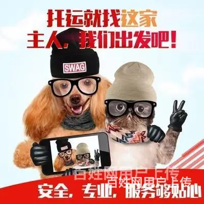 推荐） 苏州宠物托运到全国）（猫狗）邮寄快递（宠物活体运输） - 图片 1