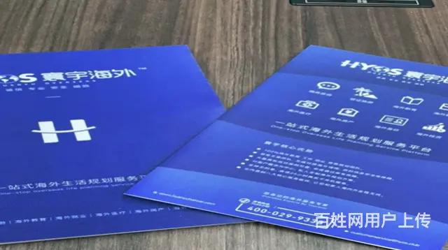 商洛本地移民中介 - 图片 2