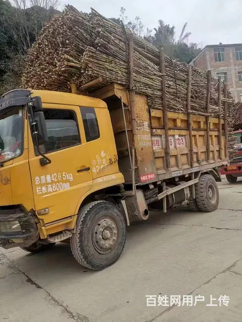 6缸东风 天锦 自卸车 - 图片 9