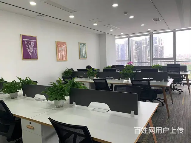 写字楼工位出租 - 图片 3
