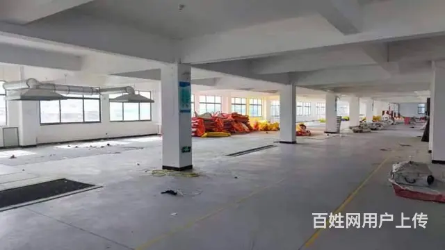 【创美】南曲阜统一南路1300平厂房出租，可分租 - 图片 3