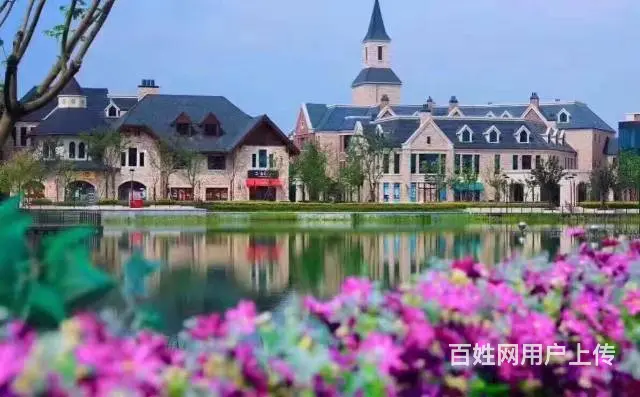 安吉繁花郡.坐拥2万方法式园林景观.紧邻杭安轻轨 - 图片 3