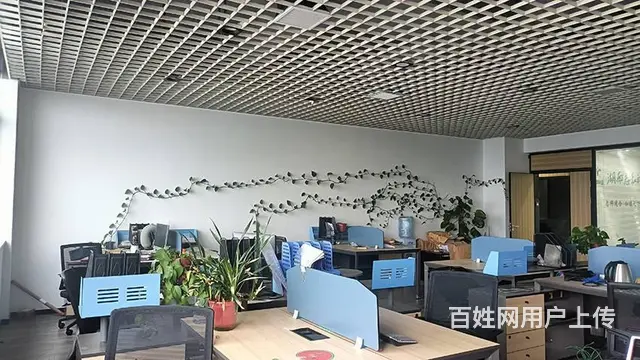 （老板本人）长沙现代服务业产业园豪华写字楼出租  5433 - 图片 8