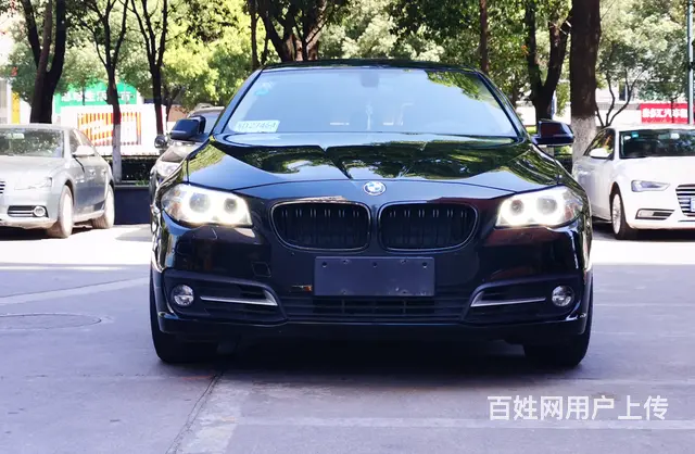 宝马5系 2014款 520Li 2.0T 手自一体 典雅型 - 图片 5