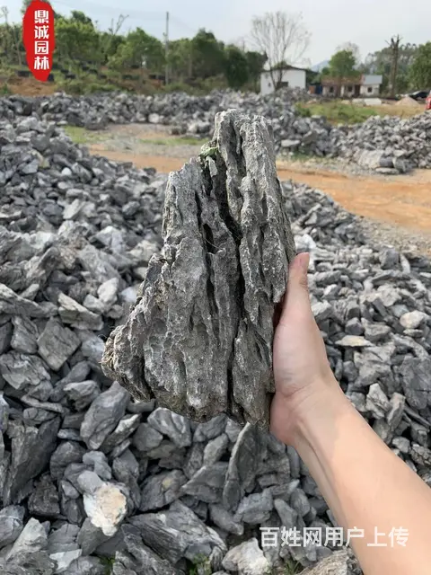 英石青龙石鱼缸摆放假山盆景园林风景制作石材 - 图片 5