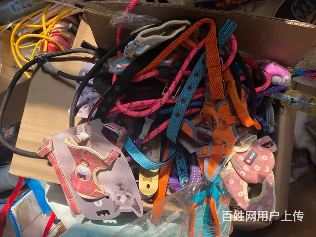 宠物店不干了剩下大概90条狗绳 - 图片 1
