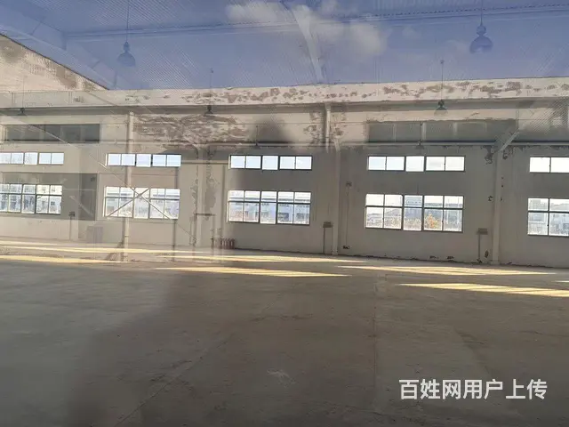 （新房源）初村钢结构独门独院8米高厂房大院子出租 - 图片 8