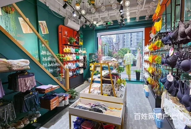 PZJ30649临街内衣店服饰店女士内衣店空转无转让费 - 图片 6