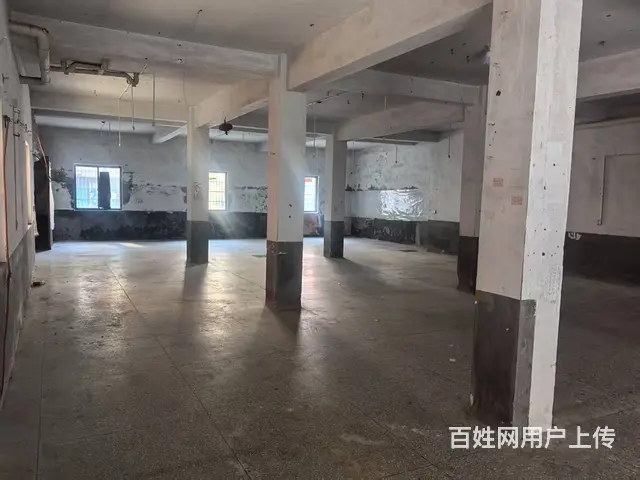 乔司镇【大井五星村厂房】/加工厂出租租赁 - 图片 8